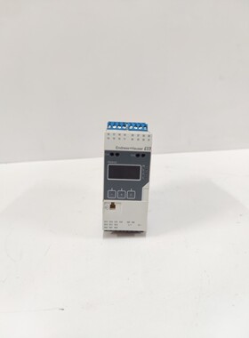 ENDRESS+HAUSER RMA42 处理器变送器 带控制单元 RMA42-BHD