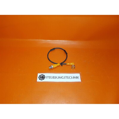 IFM Electronic EVC430/0,3m/250V AC/300V Dc / Cable With M12