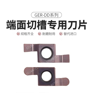 小径端面槽刀GER100/150/200/250/300/400-DD/DM/DMC替PM125/GEL