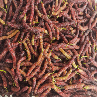 现摘新鲜长条桑葚鲜果牛奶桑椹