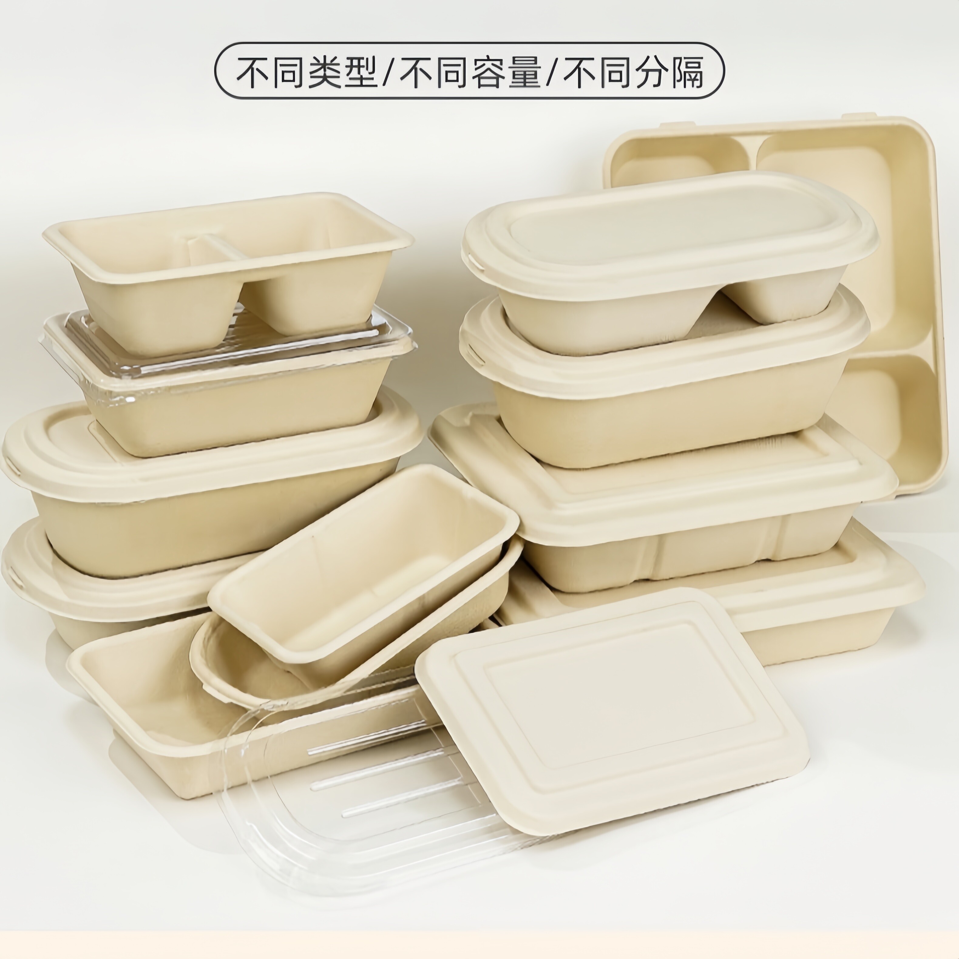 环保可降解餐盒加厚轻食