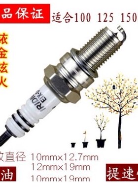 比亚乔淑女fly125火嘴 FLY100都市飞翔台风唯我RA1火花塞 12X19