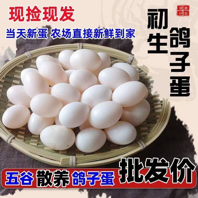 新鲜鸽子蛋30枚正宗农家五谷杂粮
