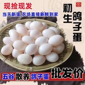 新鲜鸽子蛋30枚正宗农家五谷杂粮鸽蛋白鸽蛋孕妇宝宝辅食整箱