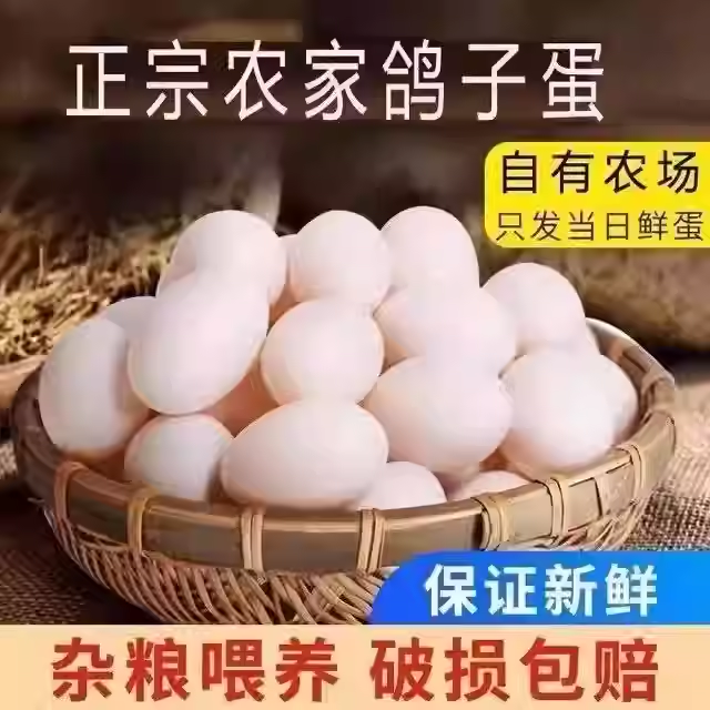 新鲜鸽子蛋初生农家五谷杂粮儿童散养信鸽鸽蛋孕妇宝宝正宗营养,水产肉类/新鲜蔬果/熟食,鸽蛋,淘宝优惠券,粉丝福利购,淘宝优惠卷