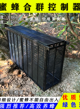 新款蜜蜂合群笼三框标准箱中蜂意蜂通用弱群合并成强群蜜蜂控制框