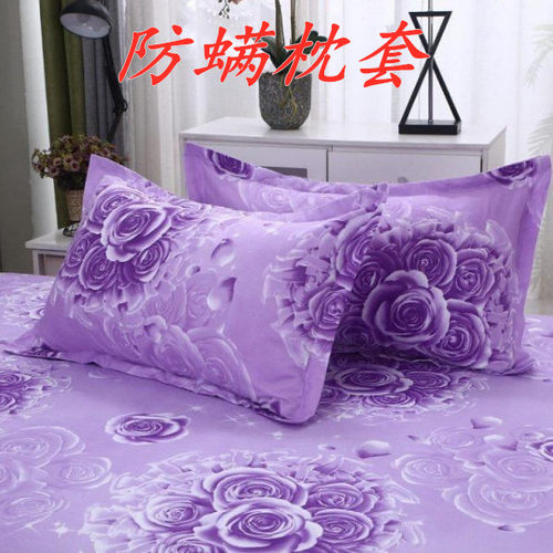 成人枕套枕芯套加大枕套一对