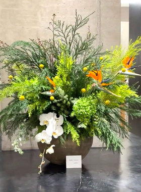 前台花桌花森系绿色自然风室内水培植物家用插花云南基地直发鲜花