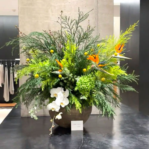 森系花束组合水培植物插花顺丰