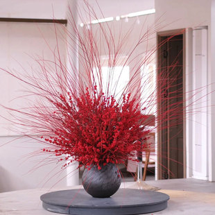 北美冬青红柳鲜切枝红瑞木年宵花组合花束云南直发鲜花水培插花