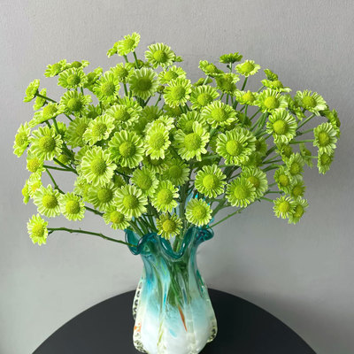 抹茶绿小雏菊鲜花清新绿色小菊花