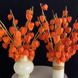 飾擺件節(jié)日禮物云南基地直發(fā)順豐 酸漿果干花家用插燈籠果室內(nèi)裝