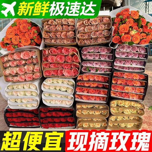 玫瑰花鲜花水培插花520节日礼物