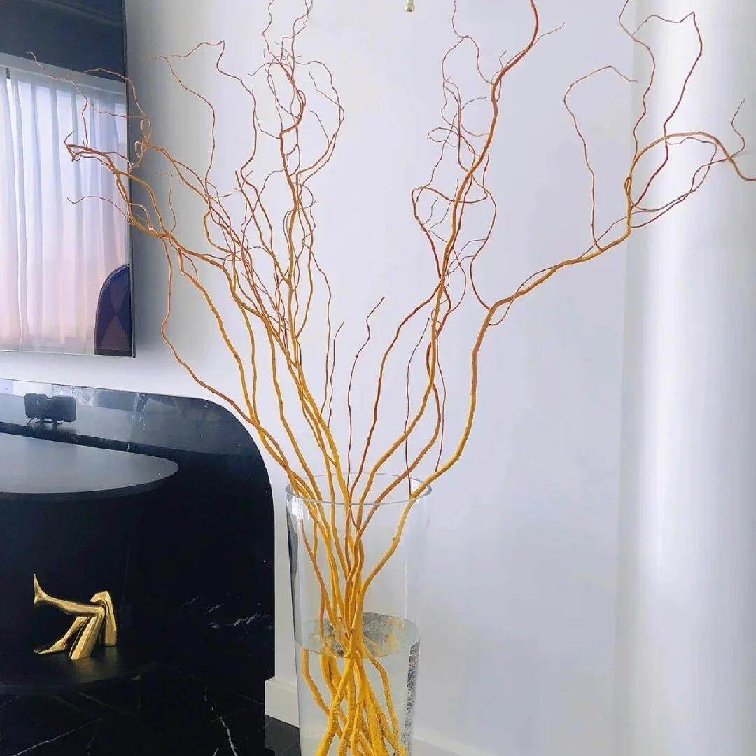 金龙柳鲜枝水培植物鲜花室内绿植鲜切花插花龙柳藤条云南直发顺丰