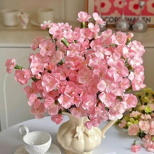 多头蝴蝶康乃馨鲜花花束云南基地直发室内水培客厅家用插花鲜切花