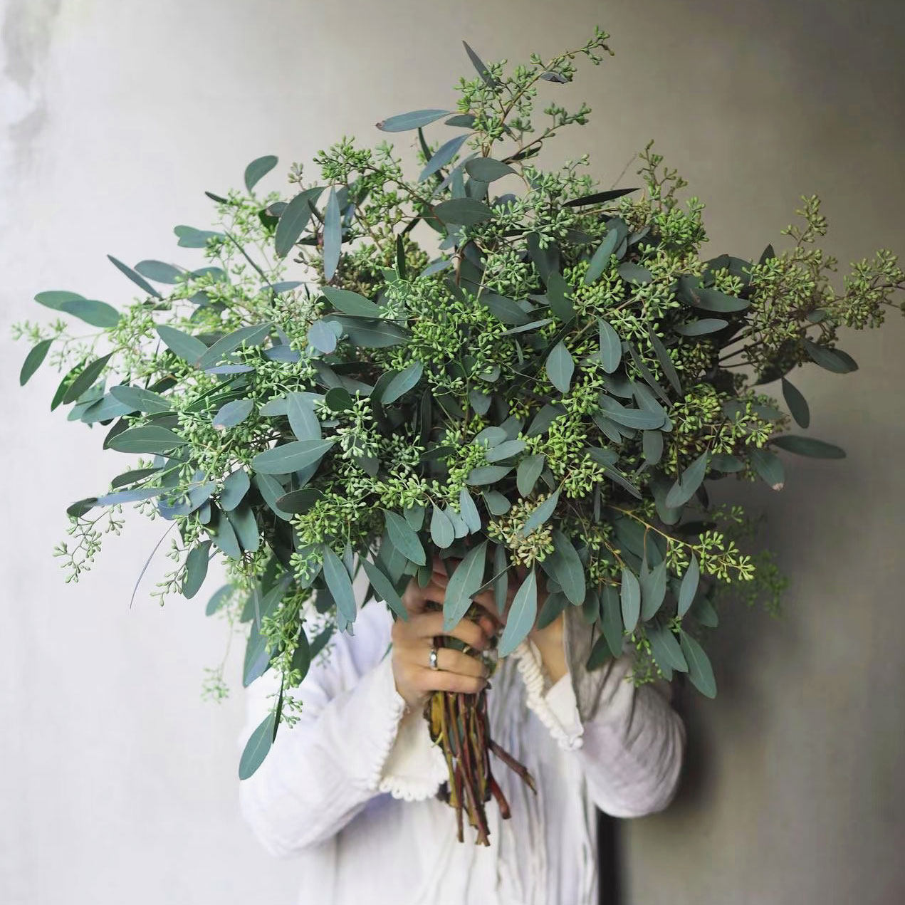 小米果叶鲜切枝新鲜真花室内水培植物家用插花云南基地直发鲜花,鲜花速递/花卉仿真/绿植园艺,花材,淘宝优惠券,粉丝福利购,淘宝优惠卷