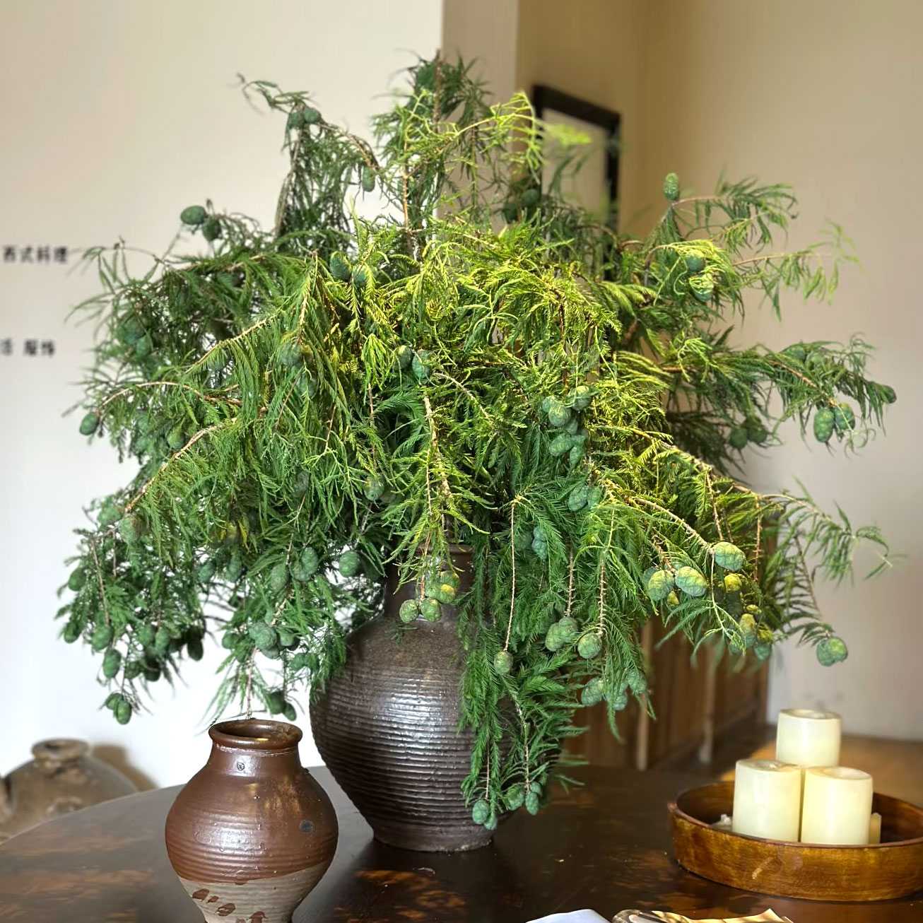落羽杉果鲜切花室内水培植物果材家用插花云南基地直发鲜切枝顺丰