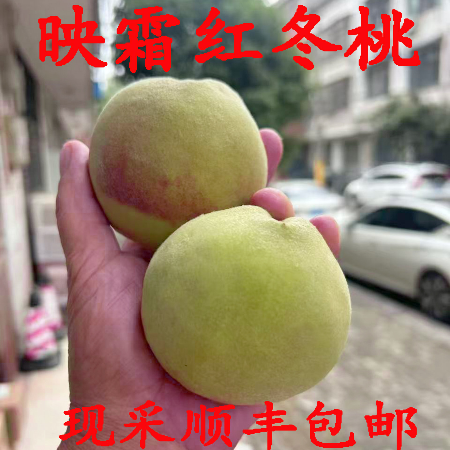 桃子新鲜水果宗映霜冬桃脆甜现摘