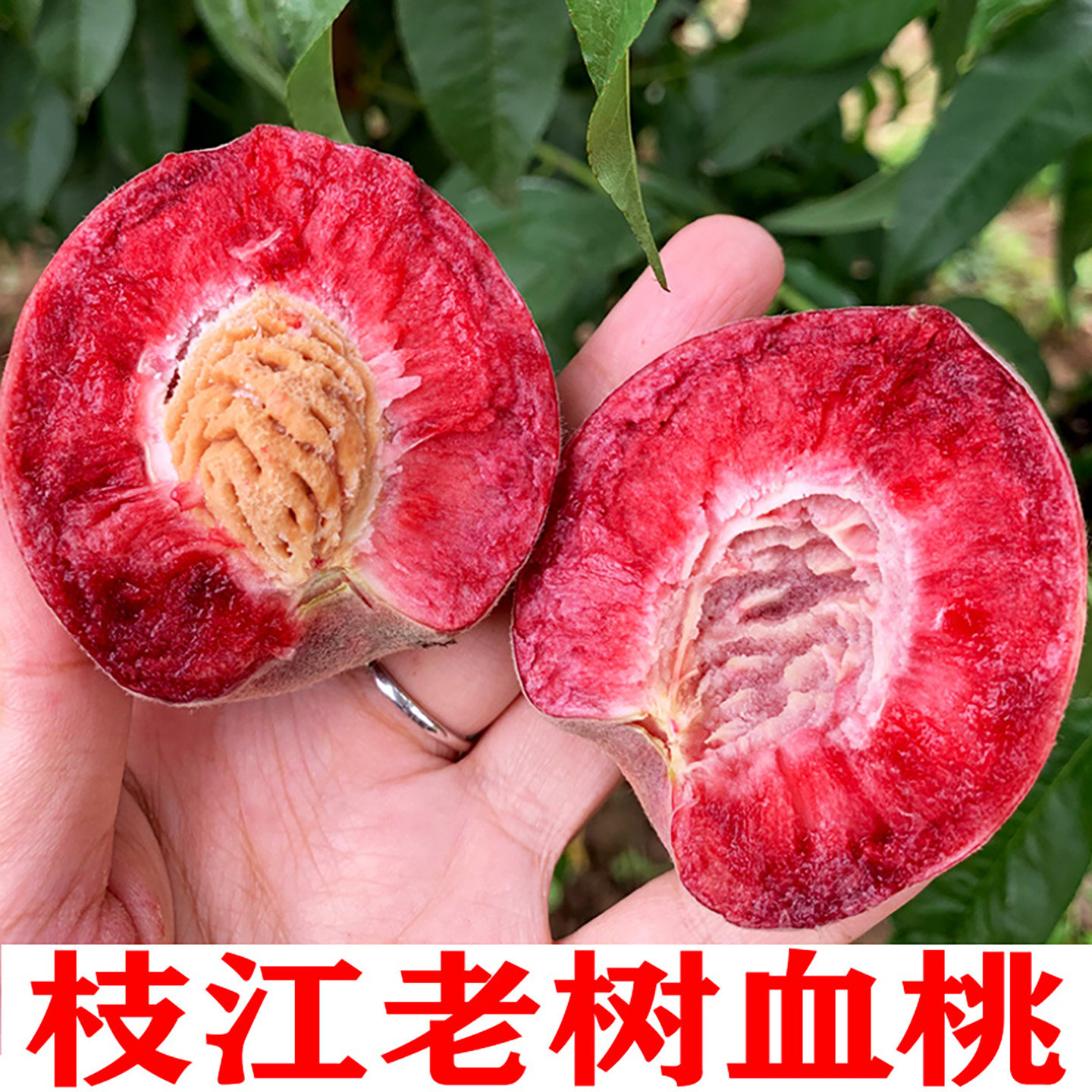 血桃新鲜水果毛桃脆甜应季当季现摘时令鲜果整箱脆桃老树红心桃子