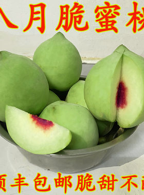 青皮脆蜜桃现摘新鲜水果硬质桃子