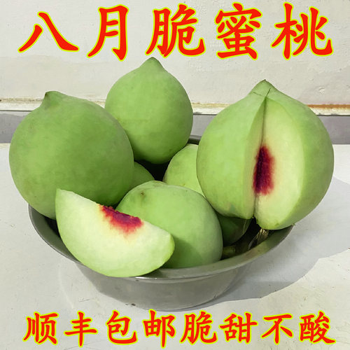 青皮脆蜜桃现摘新鲜水果硬质桃子