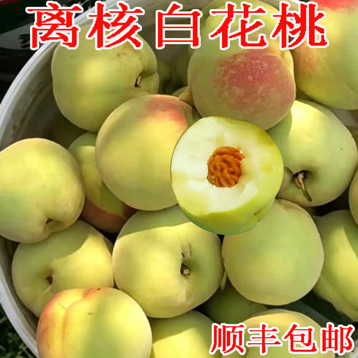 老品种白花桃正宗脆甜白桃六月桃
