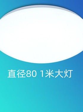 超亮特亮全白LED吸顶灯客厅餐厅卧室房间80厘米1米工程灯酒店仓库
