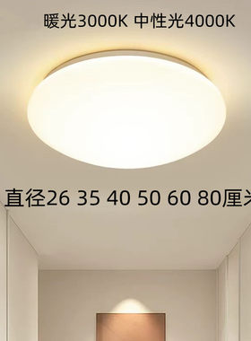 单色3000K暖光4000K中性光白光led吸顶灯护眼节能家用客厅卧室灯