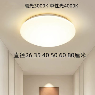 单色3000K暖光4000K中性光白光led吸顶灯护眼节能家用客厅卧室灯