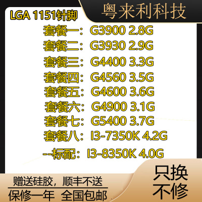 G4560intelCPUcpu49004560