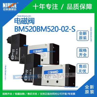 新恭BM520BM520-02-S电磁阀