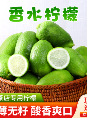 海南无籽香水青柠檬四季青柠新鲜水果奶茶店专用鲜果枇发整箱包邮