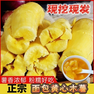 正宗广西特产黄心木薯新鲜现挖鸡蛋黄肉面包木薯糖水羹甜品店专用