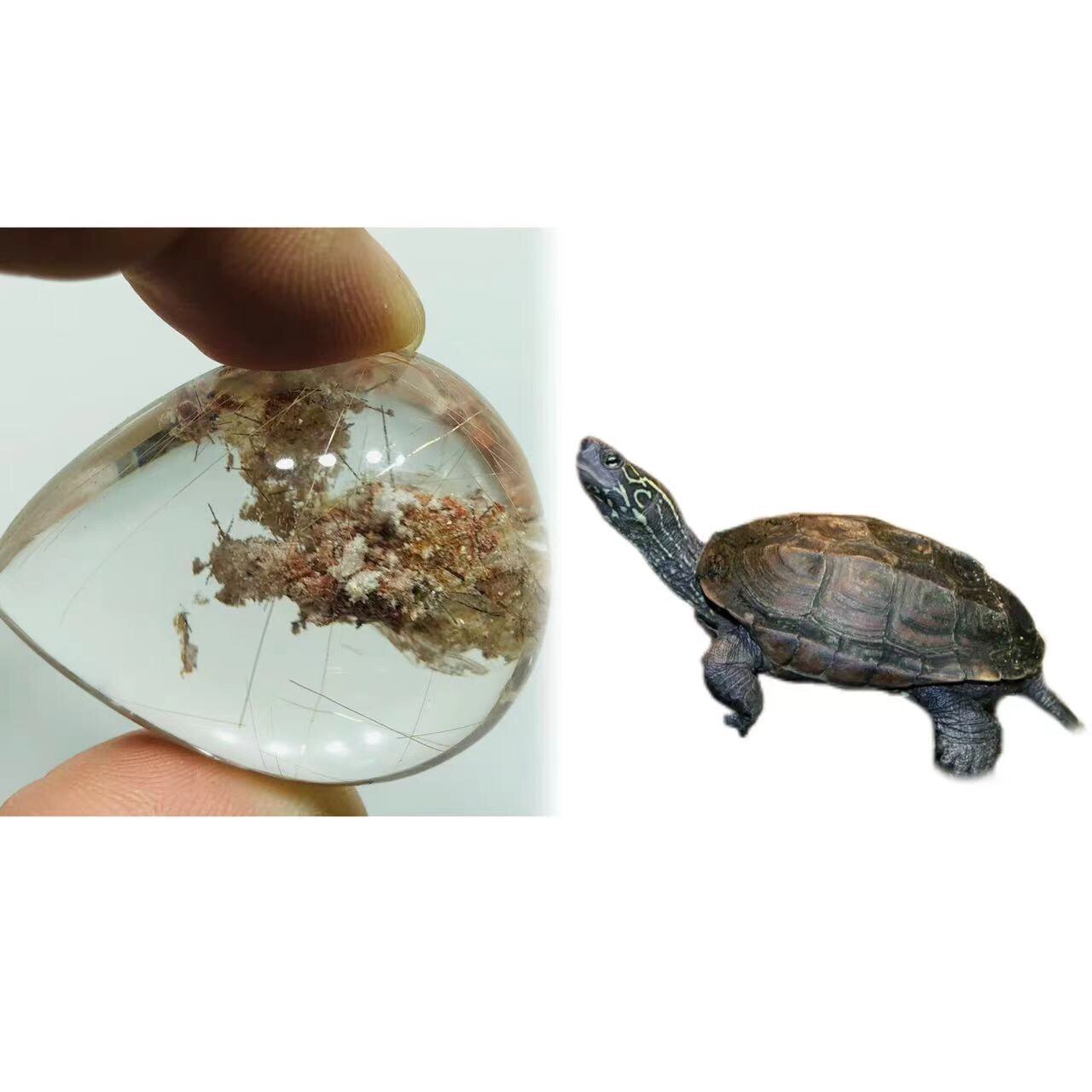 鼎好珠宝 天然水晶花绿红幽灵发晶水滴吊坠 像乌龟骆驼 一物一图