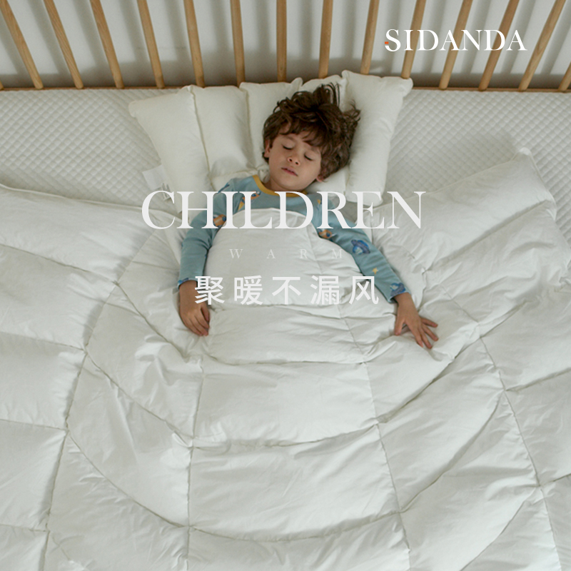 SIDANDA波兰95鹅绒茧型专利被