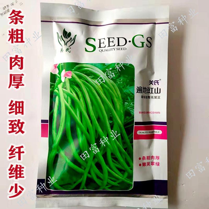 无架豆种子遍地豇山四季豆条粗肉厚农田大棚长豆角春季夏季豇豆种