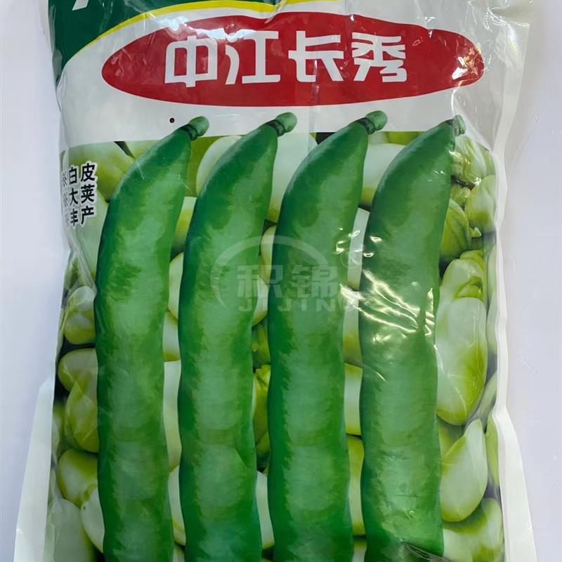 中江长秀蚕豆种子高产抗病种皮黄色耐冷大荚蚕豆种籽农家秋季播种