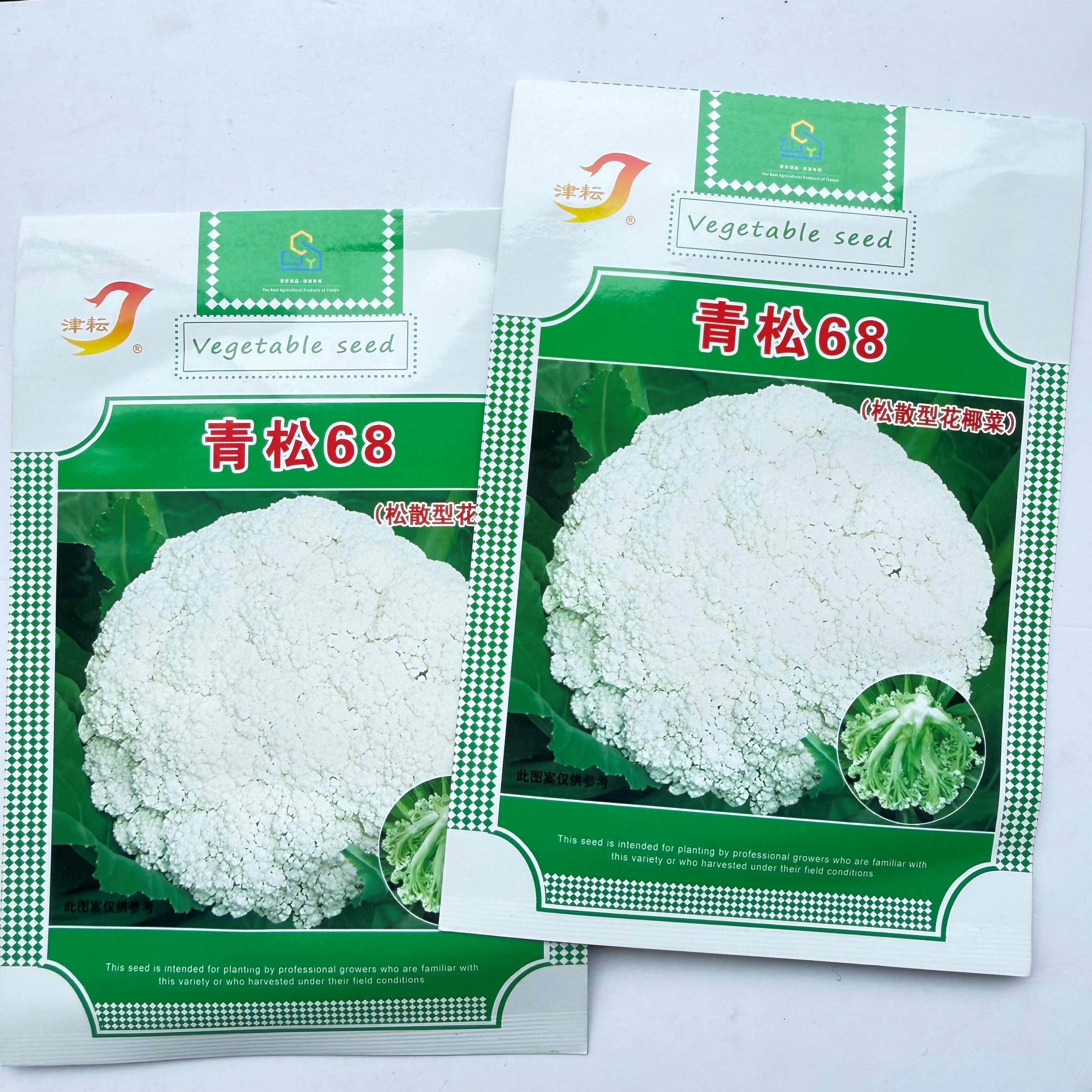 青松68青梗白花菜种子杂