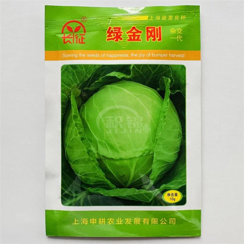 绿金刚甘蓝种子早熟杂交高圆型耐热大头菜子包菜卷心菜高产蔬菜籽