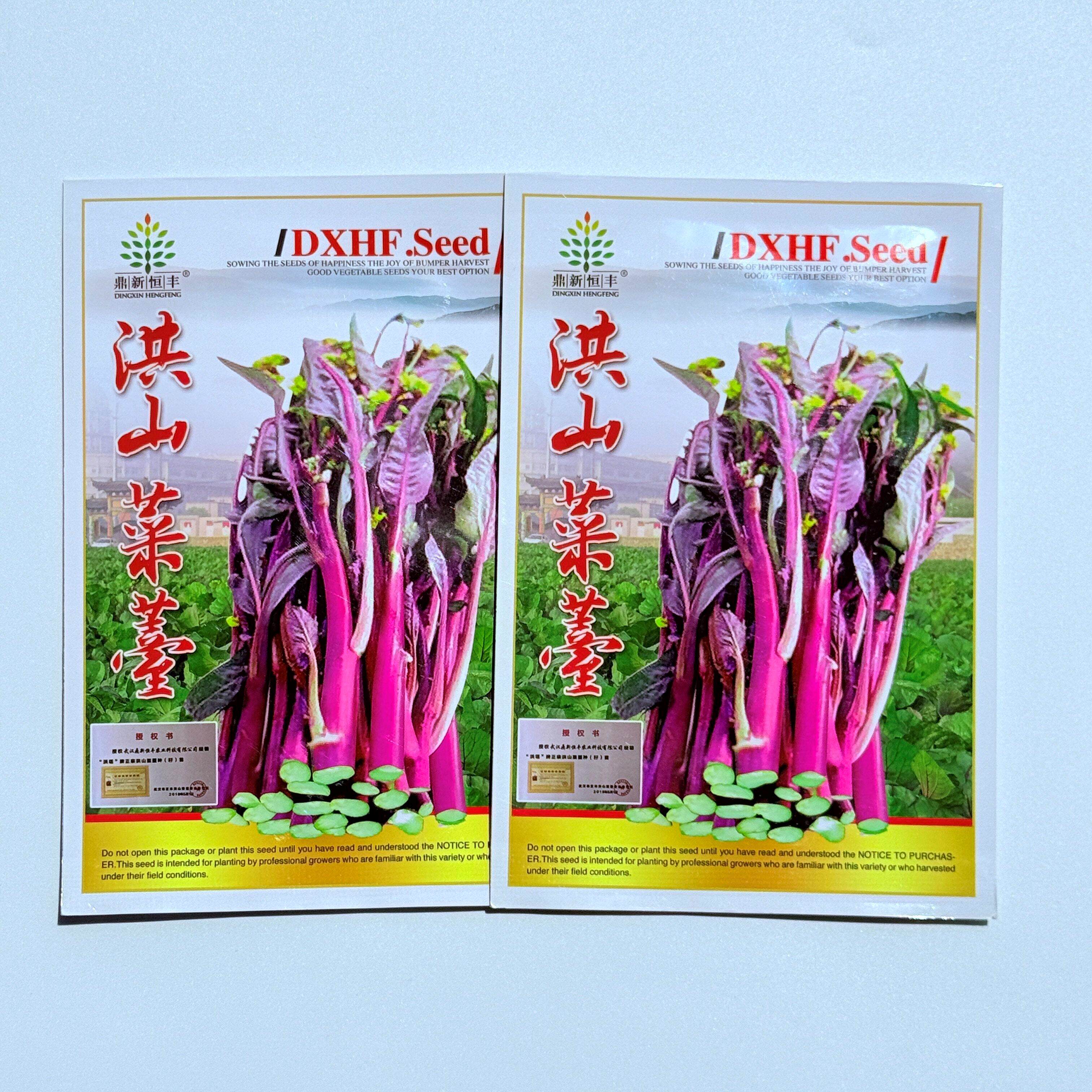 洪山菜薹种子红菜苔种籽