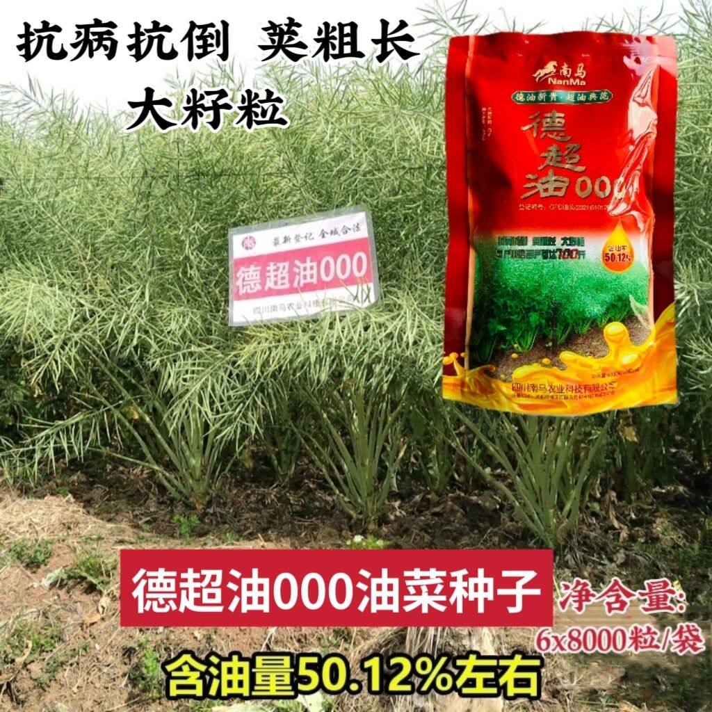 南马矮油油菜种子德超油