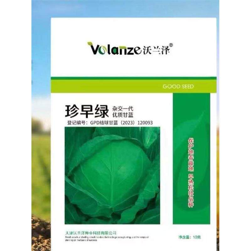 珍早绿水果型甘蓝种子早