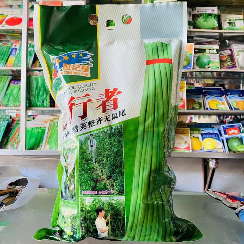 春播豇豆种子早熟长豇豆抗病耐老化不鼓粒耐储运农家菜园大田豆角