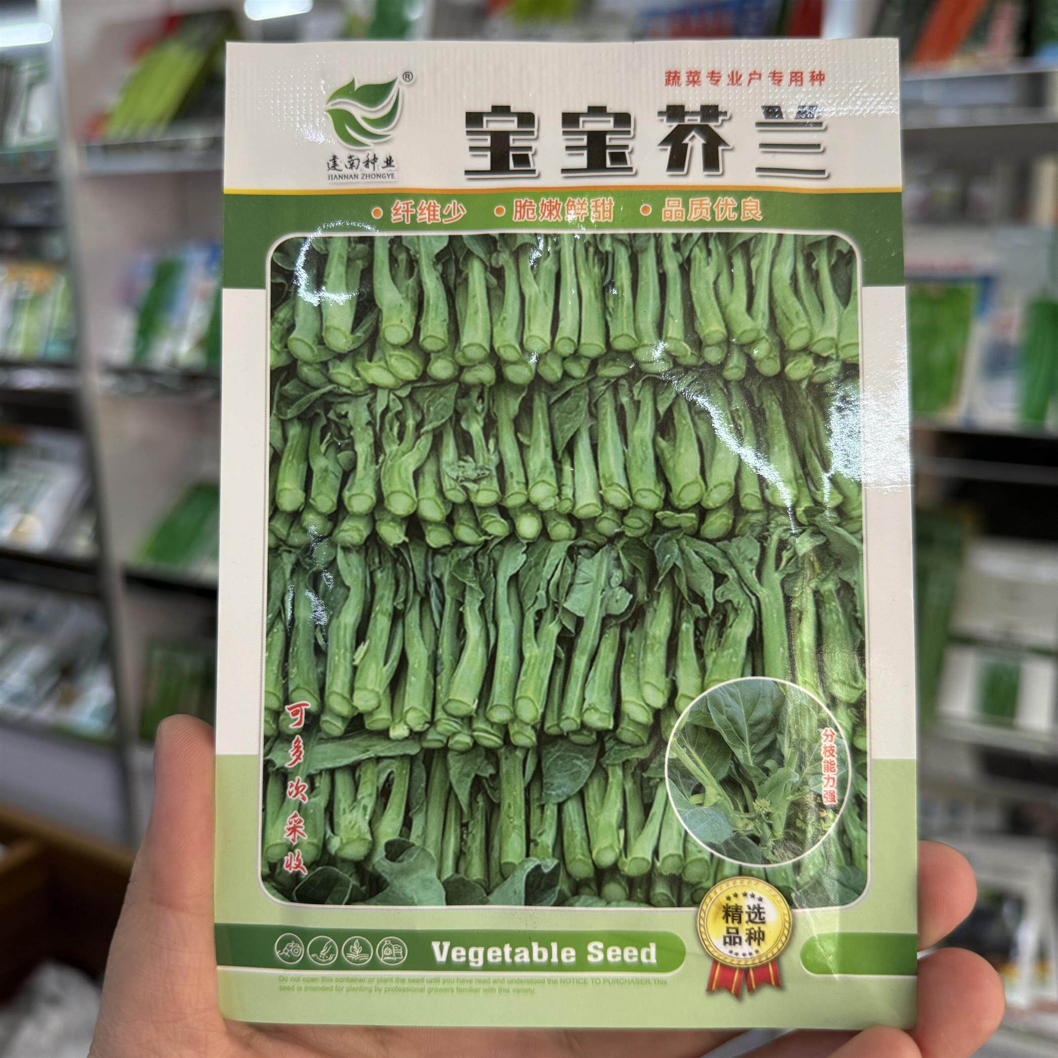 宝宝芥蓝脆嫩鲜甜种子高