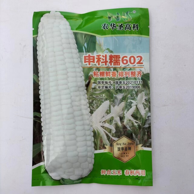 申科糯602玉米种子白甜糯玉米种籽加甜糯玉米春秋播鲜食玉米种子