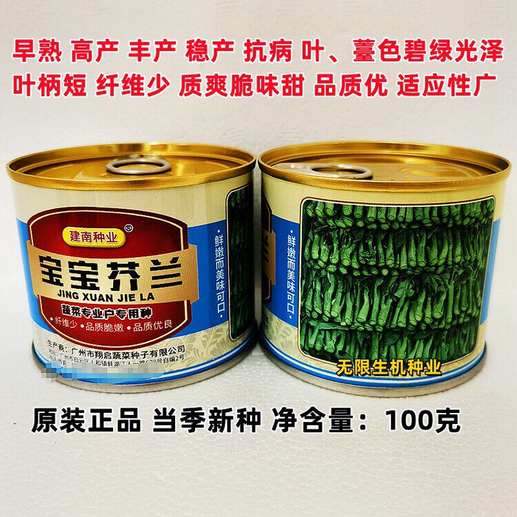 宝宝芥兰菜种籽四季芥蓝