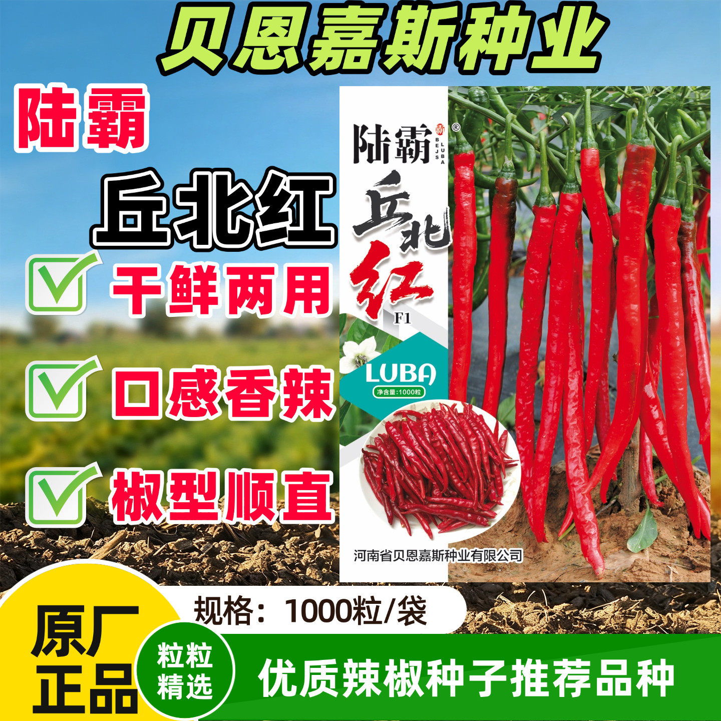 陆霸丘北红辣椒种子早熟