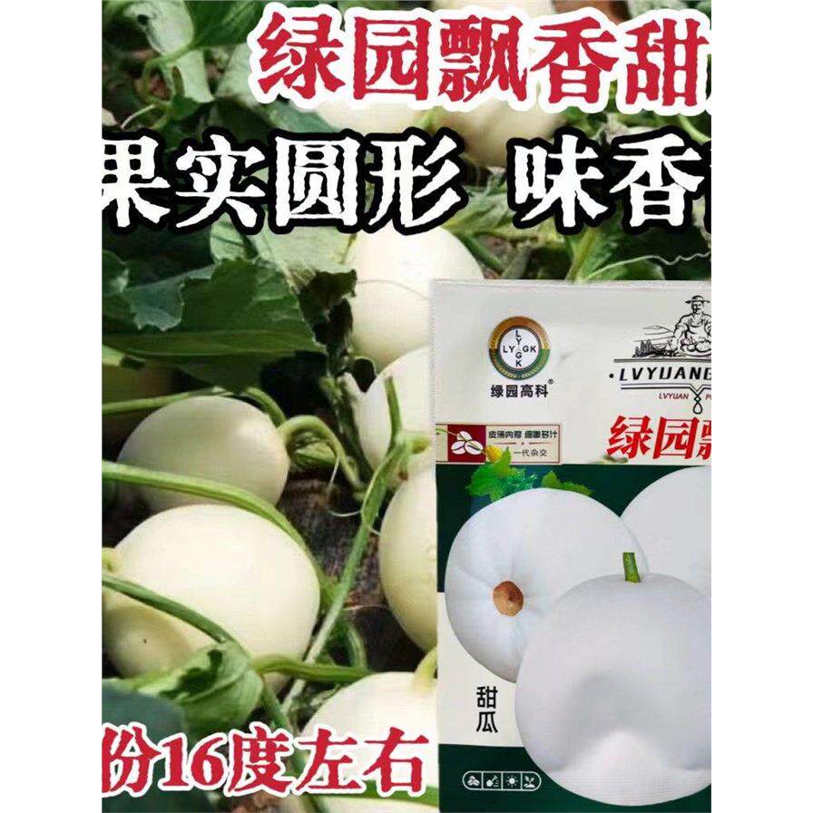 绿园飘香白皮甜瓜种子口