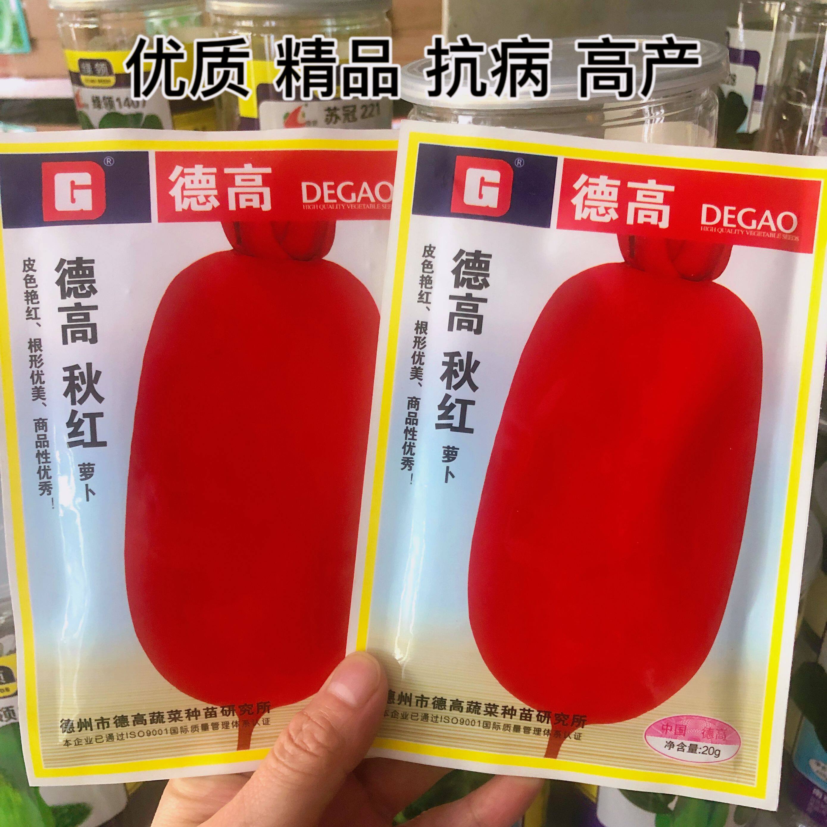 德高秋红萝卜种子炎红皮