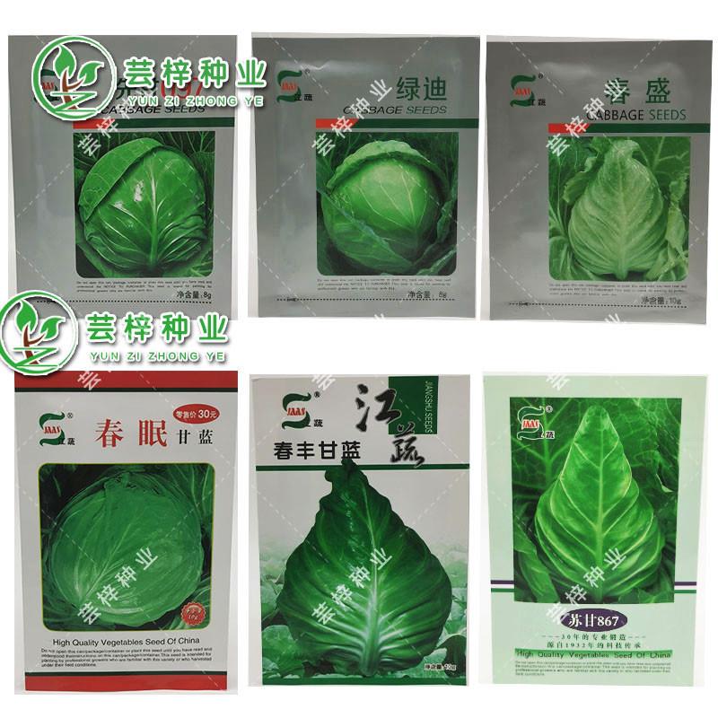 农科院 春眠甘蓝种籽耐寒包心菜 春丰甘蓝牛心甘蓝种子包邮